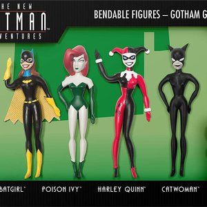 NEW! Gotham Girls Bendable